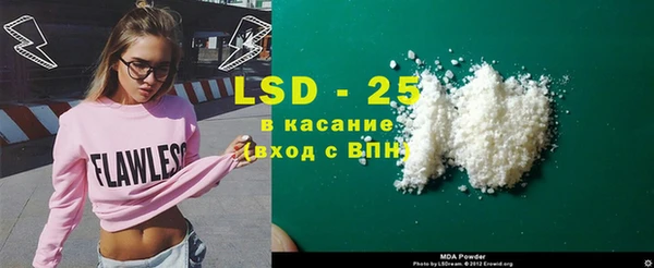 стаф Новодвинск