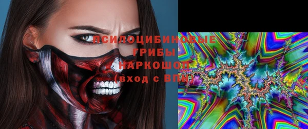 стаф Новодвинск