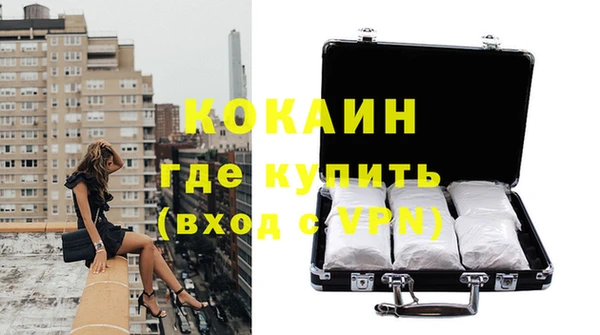 стаф Новодвинск