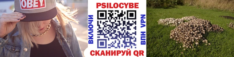 Псилоцибиновые грибы GOLDEN TEACHER  Стерлитамак 
