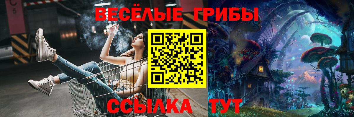 Стерлитамак  Галлюциногенные грибы мицелий  Вход с VPN 