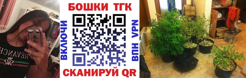 что такое   Стерлитамак  кракен сайт  Бошки марихуана марихуана 